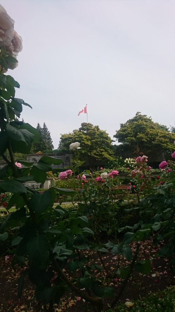 Vancouver Roseraie - UBC - Vancouver