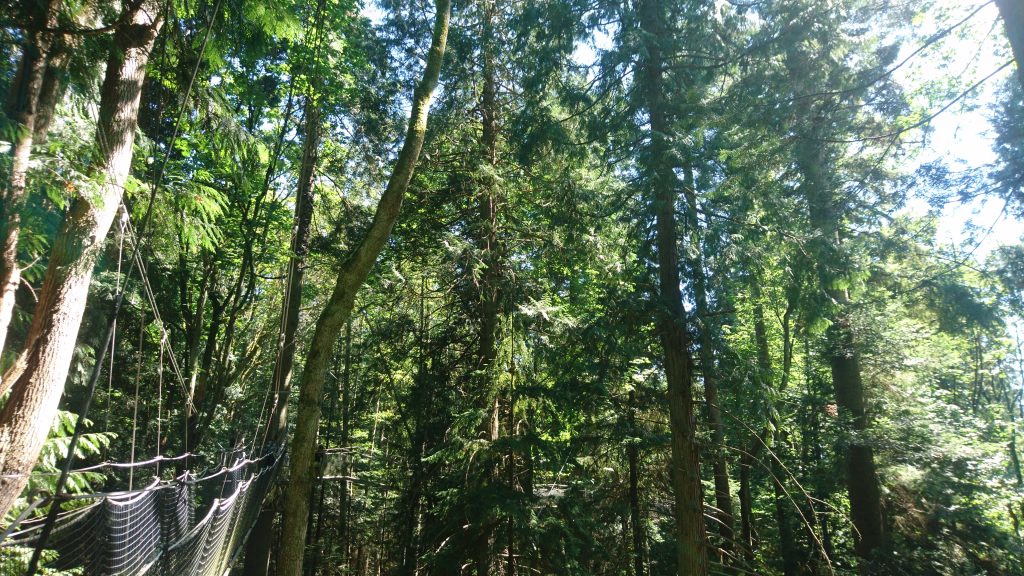 Vancouver UBC Garden