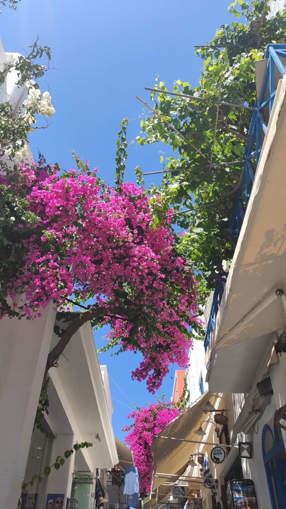 Santorin Fira ruelle
