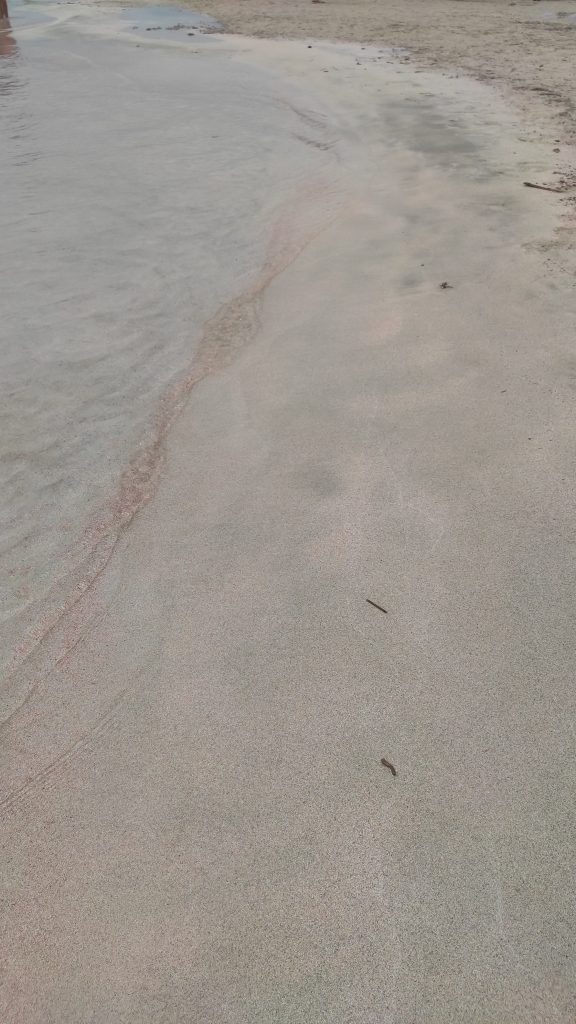 La Crète Elafonisi Beach